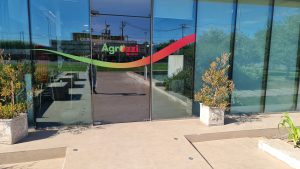 ADHESIVOS PLANTA AGROZZI TENO