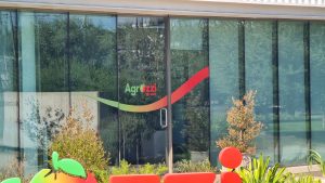 ADHESIVOS PLANTA AGROZZI TENO