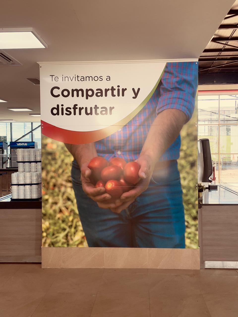 graficas impresas para planta agrozzi teno2