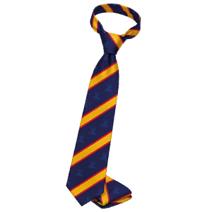 Corbata Maristas Curicó